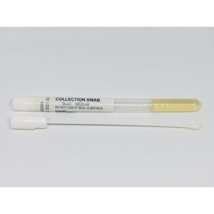 Medio de Transporte STUART